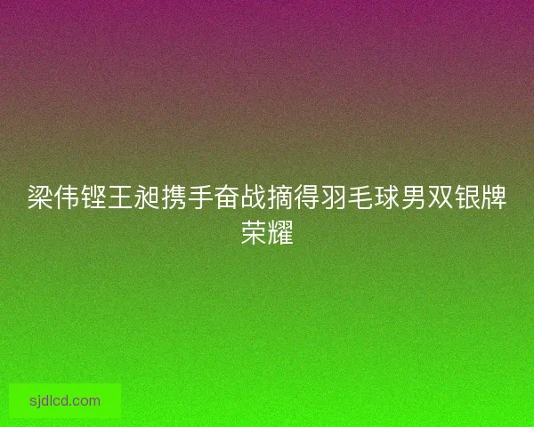 梁伟铿王昶携手奋战摘得羽毛球男双银牌荣耀