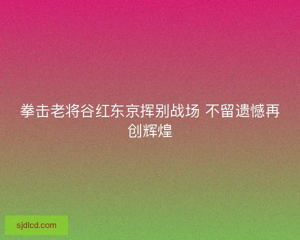 拳击老将谷红东京挥别战场 不留遗憾再创辉煌