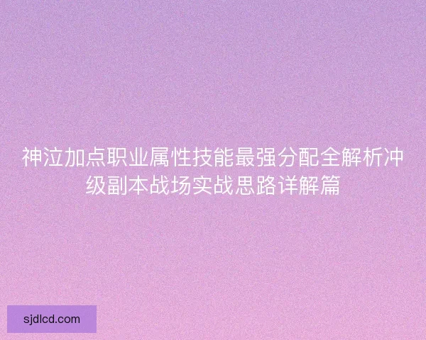 神泣加点职业属性技能最强分配全解析冲级副本战场实战思路详解篇